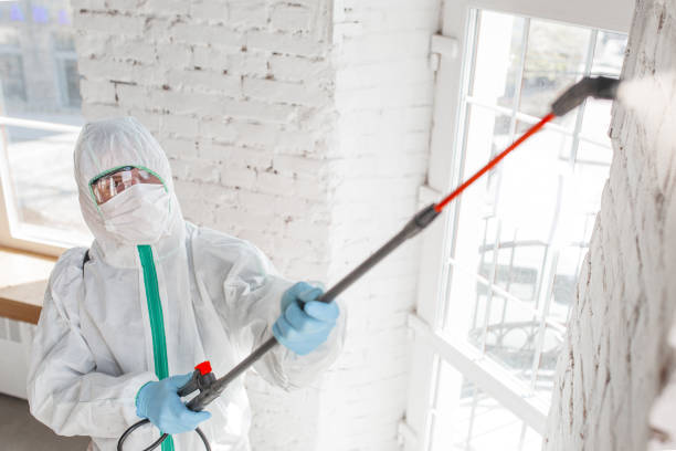 Best Comprehensive Air Testing for Mold Contaminants  in Big Bass Lake, PA