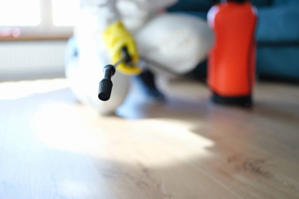 Best Industrial Mold Remediation  in Big Bass Lake, PA