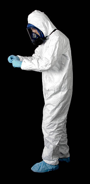 Best Black Mold Removal  in Big Bass Lake, PA